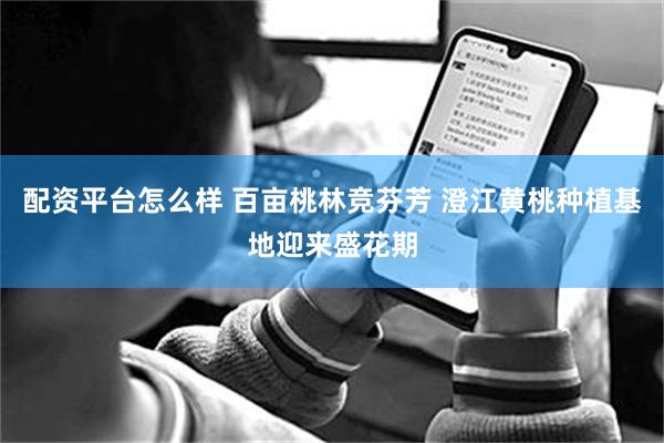 配资平台怎么样 百亩桃林竞芬芳 澄江黄桃种植基地迎来盛花期