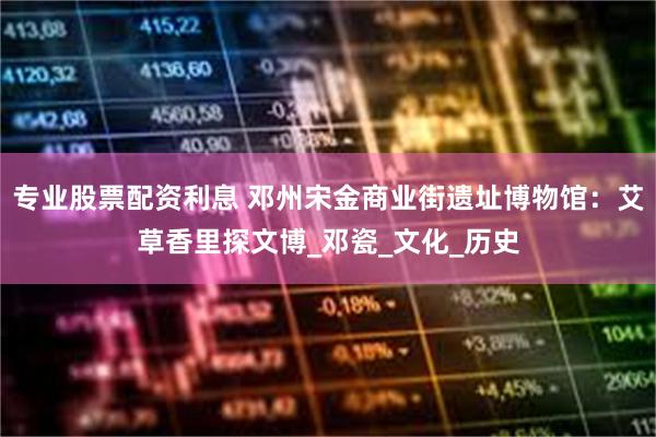 专业股票配资利息 邓州宋金商业街遗址博物馆：艾草香里探文博_邓瓷_文化_历史