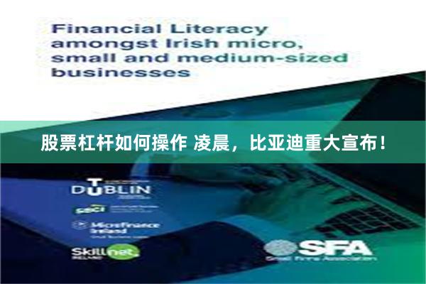 股票杠杆如何操作 凌晨，比亚迪重大宣布！
