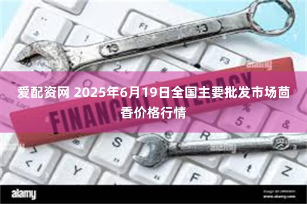 爱配资网 2025年6月19日全国主要批发市场茴香价格行情