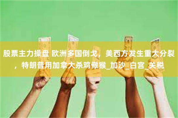 股票主力操盘 欧洲多国倒戈，美西方发生重大分裂，特朗普用加拿大杀鸡儆猴_加沙_白宫_关税