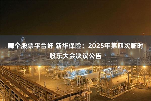哪个股票平台好 新华保险：2025年第四次临时股东大会决议公告